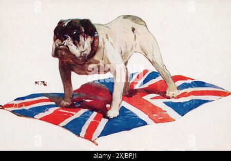 Bulldog anglais et drapeau britannique, carte postale patriotique de l'ère WW1. Banque D'Images