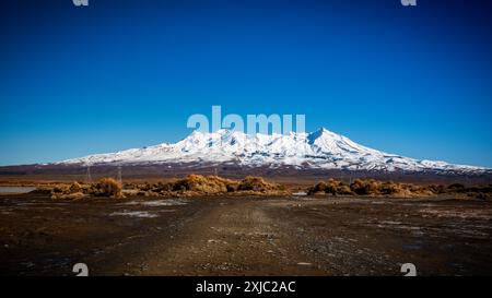 Mont Ruapehu, volcan actif, Nouvelle-Zélande Banque D'Images