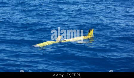 Planeur de mer Slocum en surface avec autocollant d'avertissement visible, parc marin de la Grande barrière de corail, queensland, Australie. Pas de PR Banque D'Images