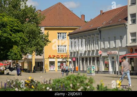 Marktplatz, Altstadt, Spandau, Berlin, Allemagne Banque D'Images