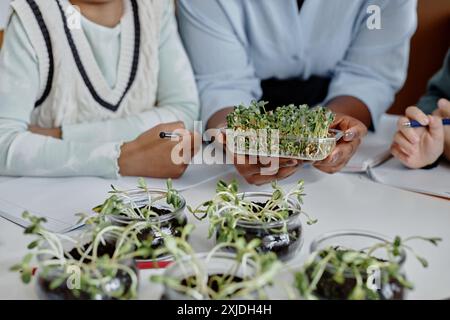 Gros plan sur le récipient en plastique avec des germes microverts dans les mains d'une enseignante expliquant comment les plantes poussent pendant la leçon de biologie, copiez l'espace Banque D'Images