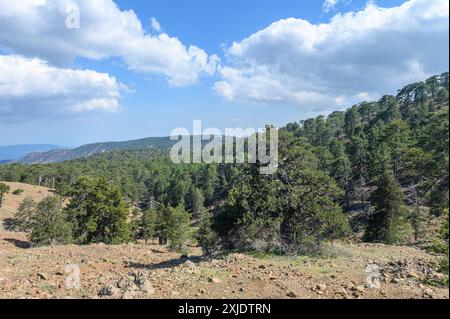 Chypre - montagnes et hauts plateaux autour de Lefkara, vue imprenable sur la montagne à Chypre depuis la vue du drone Banque D'Images