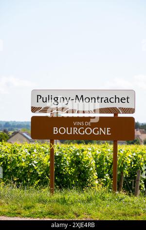 Vignoble vert autour du village de Puligny-Montrachet, panneau routier du vin de Bourgogne, France. Vinification de vin sec blanc de haute qualité à partir de raisins Chardonnay sur gr Banque D'Images