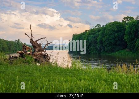 Belle vue sur la rivière à travers des accrocs au coucher du soleil Banque D'Images