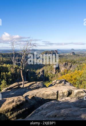 Arbre solitaire sans feuilles sur un rocher. Vue d'automne sur les falaises de grès dans la vallée de l'Elbe, près de Dresde. Parc national de la Suisse saxonne, Allemagne Banque D'Images