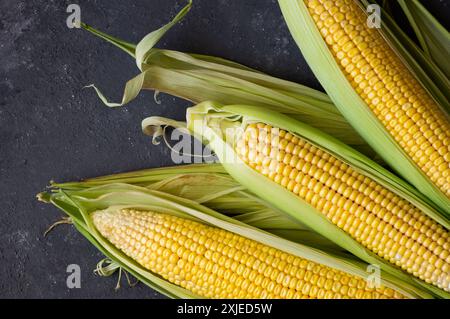 Frais mûrs trois épis de maïs à moitié pelés sur la table rustique sombre, concept de grain Banque D'Images