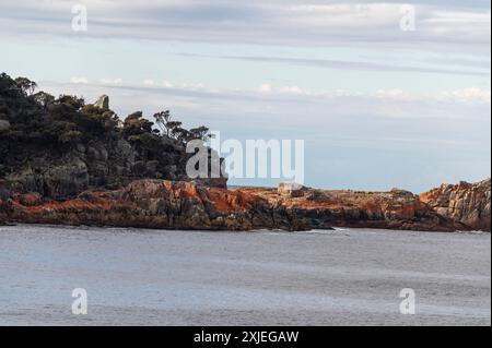 De la piste Sleepy Bay menant à Sleepy Bay près de Coles Bay sur la côte est de la péninsule de Freycinet en Tasmanie, Australie. Les rochers de granit couverts Banque D'Images