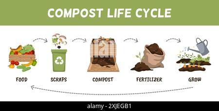 Cycle de vie des matières premières du compost. Recyclage des déchets organiques, engrais pour les plantes de jardin, collecter les déchets de cuisine, les légumes épluchent le dessin animé à plat Illustration de Vecteur