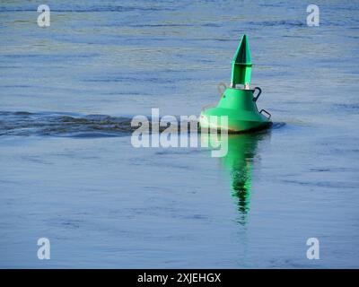 Bouée verte dans l'Elbe près de Dresde, essentielle pour la navigation et la sécurité dans la navigation fluviale. Banque D'Images