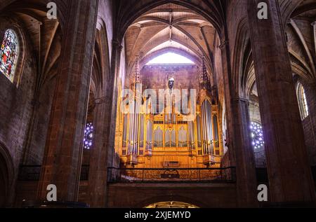 Chœur de l'église San Vicente. Saint-Sébastien, pays Basque, Espagne. Banque D'Images