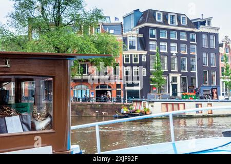 Amsterdam, pays-Bas - 12 juin 2019 : détail de Cat sur un bateau dans la rivière Amstel, Amsterdam, pays-Bas. Banque D'Images