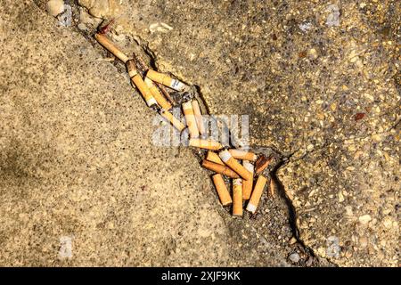 Filtres de cigarettes fumées coupées dans la fissure dans le trottoir - Dissay, Vienne (86), France. Banque D'Images