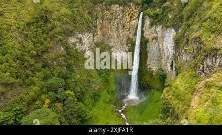 Cascade dans la jungle de montagne tropicale. Sipiso Piso tombe. Sumatra, Indonésie. Banque D'Images