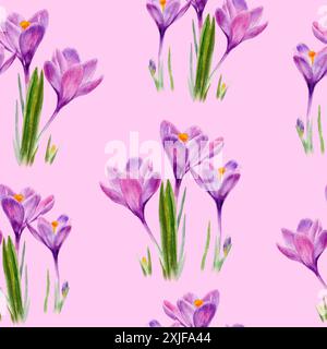Motif sans couture aquarelle avec des fleurs de crocus violettes sur fond rose, parfait pour des conceptions élégantes Banque D'Images