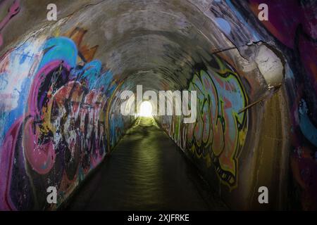 Tunnel du ruisseau ferroviaire Ocean Shore abandonné à Davenport, Californie, États-Unis. Banque D'Images