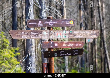 Harz, Deutschland 15. Juillet 2024 : Im Bild : Wanderwegweiser am Brocken, mit den Richtungsangaben, Brocken, Brockenbett, Bahnhof Drei Annen Hohne, Trudenstein, Elend und Schierker Stern. Wandern im Harz auf dem Glashüttenweg. Harz *** Harz, Allemagne 15 juillet 2024 dans la photo panneau de randonnée à Brocken, avec les directions, Brocken, Brocken bed, station Drei Annen Hohne, Trudenstein, Elend et Schierker Stern randonnée dans les montagnes du Harz sur le Harz Glassworks Trail Copyright : xFotostandx/xReissx Banque D'Images