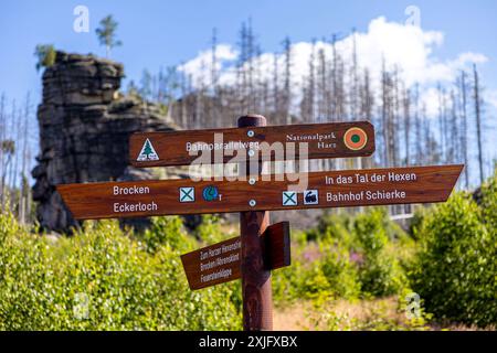 Harz, Deutschland 15. Juillet 2024 : Im Bild : Wanderwegweiser am Brocken, mit den Richtungsangaben, Brocken, Eckerloch, in das Tal der Hexen, Bahnhof Schierke, Harzer Hexenstieg, Ahrensklint und zur Feuersteinklippe. Der Bahnparallelweg im Nationalpark Harz. Harz *** Harz, Allemagne 15 juillet 2024 dans l'image panneau de sentier de randonnée à Brocken, avec les directions, Brocken, Eckerloch, dans la vallée des sorcières, Schierke station, Harzer Hexenstieg, Ahrensklint et à la Feuersteinklippe le chemin de fer parallèle dans le parc national du Harz Copyright : xFotostandx/xReissx Banque D'Images