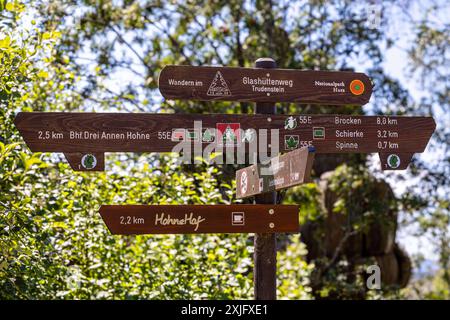 Harz, Deutschland 15. Juillet 2024 : Im Bild : Wanderwegweiser am Brocken, mit den Richtungsangaben, Brocken, Schierke, Spinne, Bahnhof Drei Annen Hohne. Wandern im Harz auf dem Glashüttenweg Trudenstein im Nationalpark Harz. Harz *** Harz, Allemagne 15 juillet 2024 dans le panneau de signalisation du sentier de randonnée à Brocken, avec les directions, Brocken, Schierke, Spinne, station de chemin de fer Drei Annen Hohne randonnée dans le Harz sur le sentier de verrerie Trudenstein dans le parc national du Harz Copyright : xFotostandx/xReissx Banque D'Images