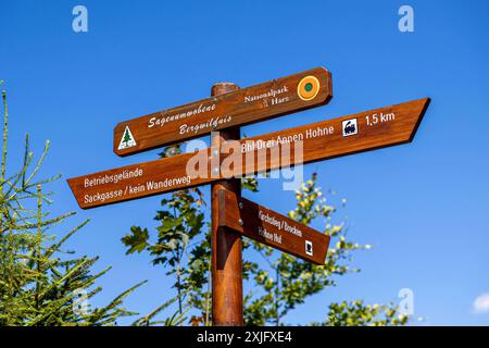 Harz, Deutschland 15. Juillet 2024 : Im Bild : Wanderwegweiser am Brocken, mit den Richtungsangaben, Kirchstieg, Brocken und dem Bahnhof Drei Annen Hohne. Wanderweg Sagenumwobene Bergwildnis im Nationalpark Harz. Harz *** Harz, Allemagne 15 juillet 2024 dans la photo panneau de randonnée à Brocken, avec les directions, Kirchstieg, Brocken et la gare Drei Annen Hohne sentier de randonnée légendaire montagne sauvage dans le parc national du Harz Copyright : xFotostandx/xReissx Banque D'Images