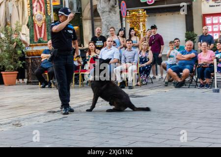 VICTORIA, GOZO - 9 JUILLET 2024 Malte police show avec les chiens policiers et les maîtres de l'équipe K9 Banque D'Images