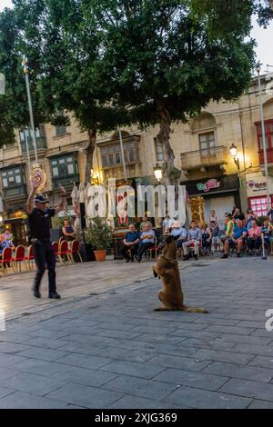 VICTORIA, GOZO - 9 JUILLET 2024 Malte police show avec les chiens policiers et les maîtres de l'équipe K9 Banque D'Images