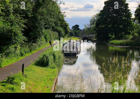 Homme attachant un bateau étroit sur le canal Kennet et Avon près des écluses de Caen Hill, Devizes. Prise en juillet 2024 Banque D'Images