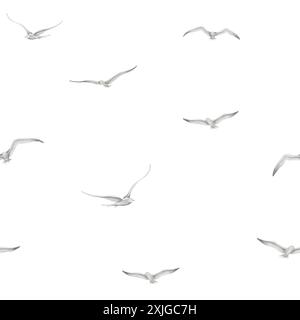 Motif aquarelle sans couture oiseau. Toile de fond avec mouettes volantes et colombes sur fond isolé pour la conception textile ou la bannière web. Ornement pour papier d'emballage en couleurs monochromes. Banque D'Images