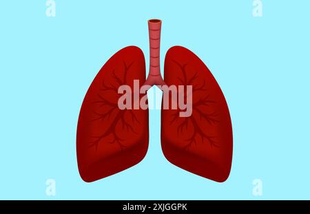poumons humains, organe respiratoire, symbole diagnostique. Illustration vectorielle Illustration de Vecteur