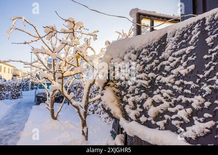 Belle vue d'hiver sur le jardin avec arbres enneigés et parking à la villa privée. Suède. Banque D'Images