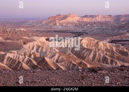 Désert de Zin dans le Néguev, Israël Banque D'Images