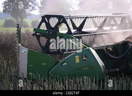 Rottenburg Kreis Tuebingen 18.07.2024 Schmuckbild Rapsernte 2024 Das Rapsschneidwerk an einem John Deer Maehdrescher BEI der Rapsernte auf einem Feld BEI Rottenburg - Frommenhausen. *** Rottenburg district de Tuebingen 18 07 2024 image décorative récolte de colza 2024 unité de coupe de colza sur une moissonneuse-batteuse John Deer pendant la récolte de colza dans un champ près de Rottenburg Frommenhausen Ulmer Banque D'Images