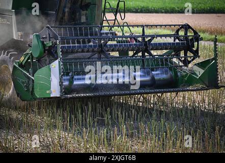 Rottenburg Kreis Tuebingen 18.07.2024 Schmuckbild Rapsernte 2024 Das Rapsschneidwerk an einem John Deer Maehdrescher BEI der Rapsernte auf einem Feld BEI Rottenburg - Frommenhausen. *** Rottenburg district de Tuebingen 18 07 2024 image décorative récolte de colza 2024 unité de coupe de colza sur une moissonneuse-batteuse John Deer pendant la récolte de colza dans un champ près de Rottenburg Frommenhausen Ulmer Banque D'Images