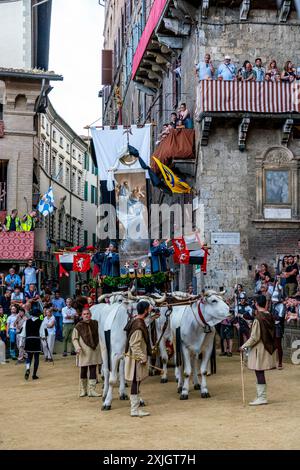 Les bœufs blancs et la bannière de soie du Palio (le Carroccio) arrivent sur la Piazza Del Campo dans le cadre de la procession historique, le Palio, Sienne, Italie. Banque D'Images