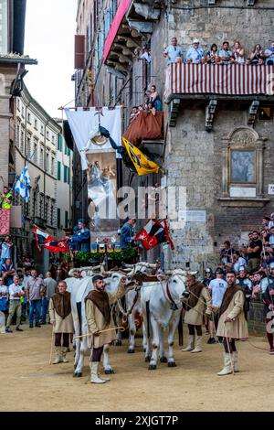 Les bœufs blancs et la bannière de soie du Palio (le Carroccio) arrivent sur la Piazza Del Campo dans le cadre de la procession historique, le Palio, Sienne, Italie. Banque D'Images