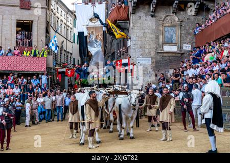 Les bœufs blancs et la bannière de soie du Palio (le Carroccio) arrivent sur la Piazza Del Campo dans le cadre de la procession historique, le Palio, Sienne, Italie. Banque D'Images