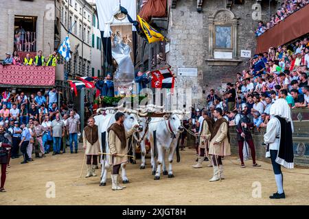 Les bœufs blancs et la bannière de soie du Palio (le Carroccio) arrivent sur la Piazza Del Campo dans le cadre de la procession historique, le Palio, Sienne, Italie. Banque D'Images