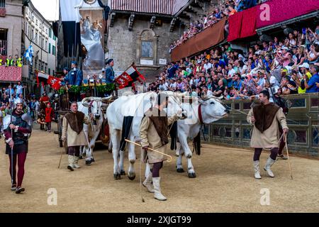 Les bœufs blancs et la bannière de soie du Palio (le Carroccio) arrivent sur la Piazza Del Campo dans le cadre de la procession historique, le Palio, Sienne, Italie. Banque D'Images