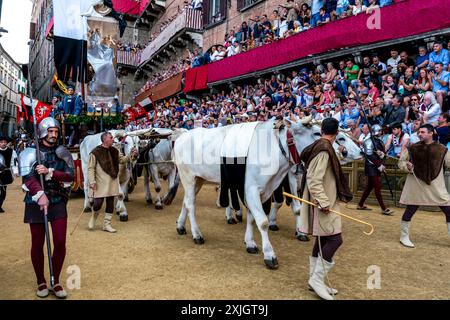 Les bœufs blancs et la bannière de soie du Palio (le Carroccio) arrivent sur la Piazza Del Campo dans le cadre de la procession historique, le Palio, Sienne, Italie. Banque D'Images