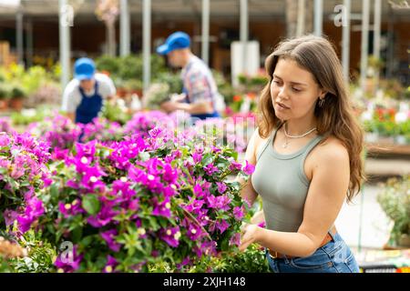 Dans le magasin de fleurs, la fille choisit la plante Bougainvillea en fleurs pour le décor de jardin extérieur Banque D'Images