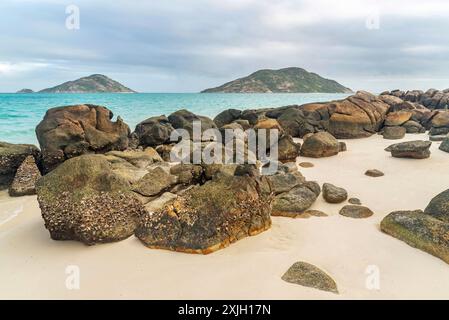 Pittoresque plage tropicale de sable doré avec de l'eau turquoise sur Blue Lagoon Bay, Lizard Island, Australie. Il est situé sur la Grande barrière de corail. Banque D'Images