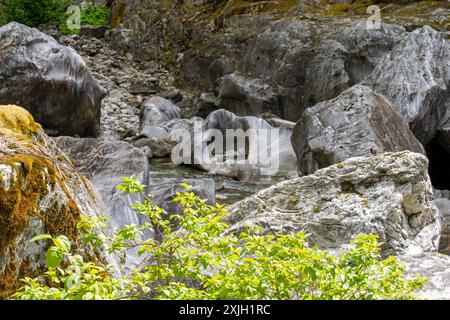 Route 20 entre Newhalem et Diablo, Washington, États-Unis. Rivière Skagit. Banque D'Images
