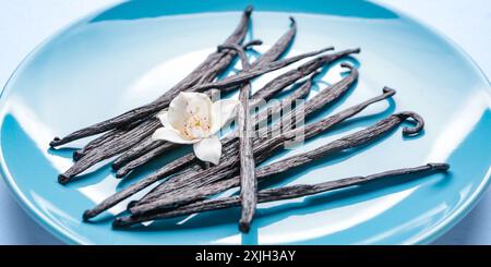 Assiette avec bâtonnets de vanille aromatiques, gros plan Banque D'Images