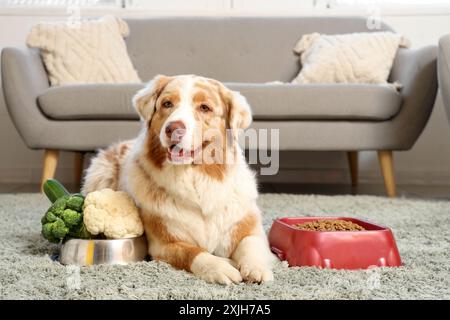 Chien berger australien mignon près de bols avec des légumes et de la nourriture sèche à la maison Banque D'Images