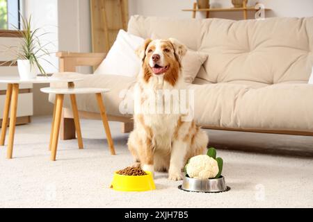 Chien berger australien mignon près de bols avec des légumes et de la nourriture sèche à la maison Banque D'Images