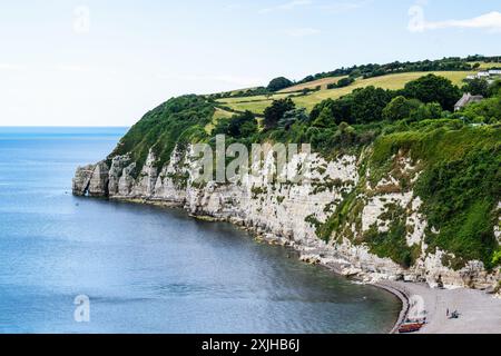 White Cliffs et Beer Beach, Jurassic Coast, Beer Village, Seaton, Devon, Angleterre Banque D'Images