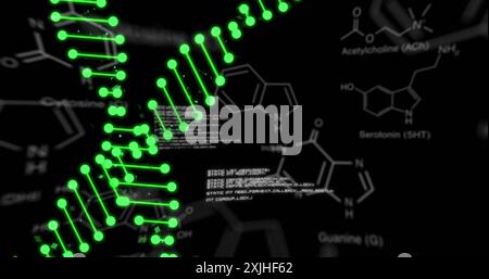 Image de brins d'adn sur le traitement des données et la formule chimique sur fond noir Banque D'Images
