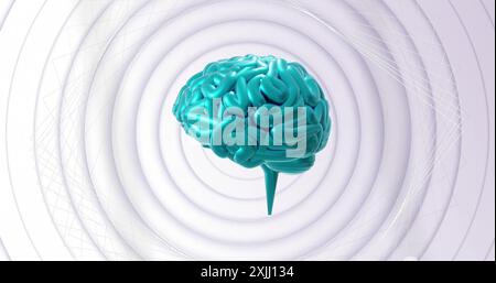 Image d'un cerveau bleu en rotation sur des anneaux gris concentriques en rotation Banque D'Images