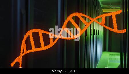 Image d'un brin d'adn orange tournant sur une salle sombre du serveur informatique Banque D'Images