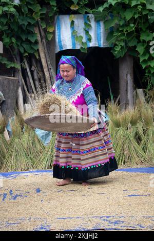 Femme hmong florale vendant du riz près de bac Ha, province de Lao Cai, Nord Vietnam Banque D'Images