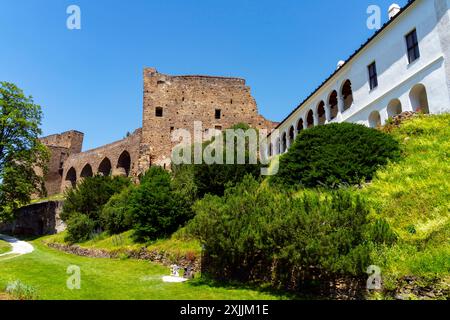 Château de Kasperk (Hrad Kasperk), République tchèque. Le château de Kasperk est un château médiéval situé au pied du parc national de Sumava. Avec son élévation Banque D'Images